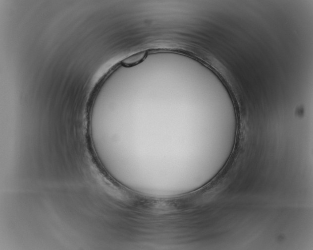 X0000112520787200909071332