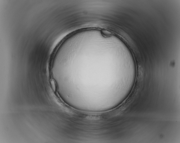X0000112520788200909071332