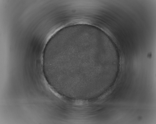 X0000112520790200909071332