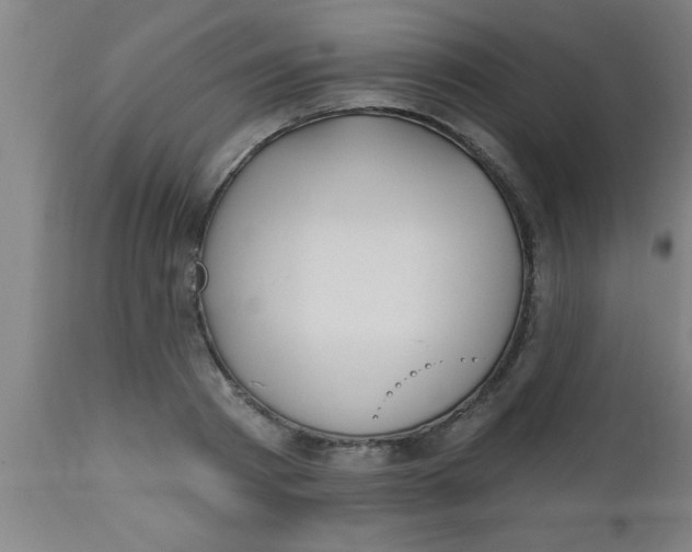 X0000112520793200909071332