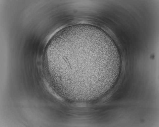 X0000112520798200909071332