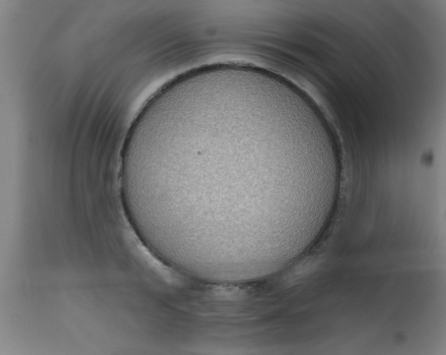 X0000112520799200909071332