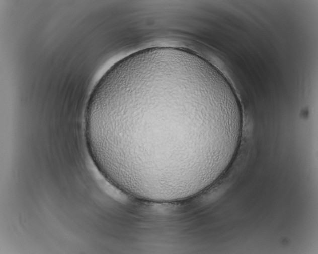 X0000112520803200909071332