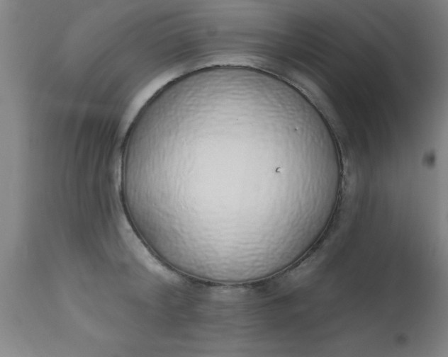 X0000112520804200909071332