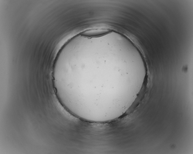 X0000112520805200909071332