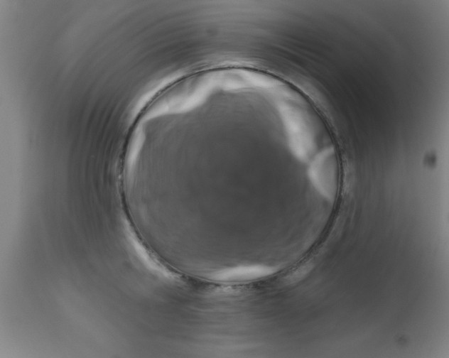 X0000112520806200909071332