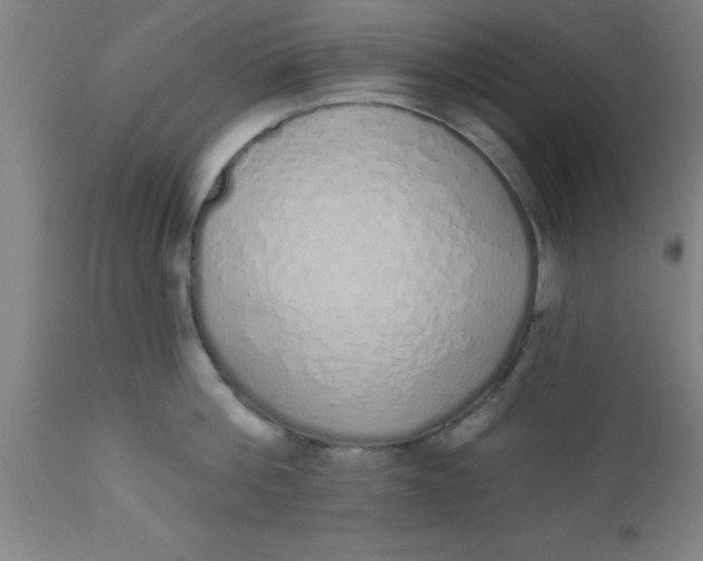 X0000112520812200909071332