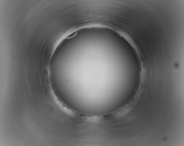 X0000112520813200909071332