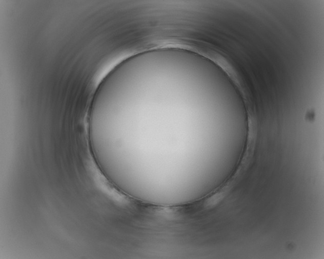 X0000112520814200909071332