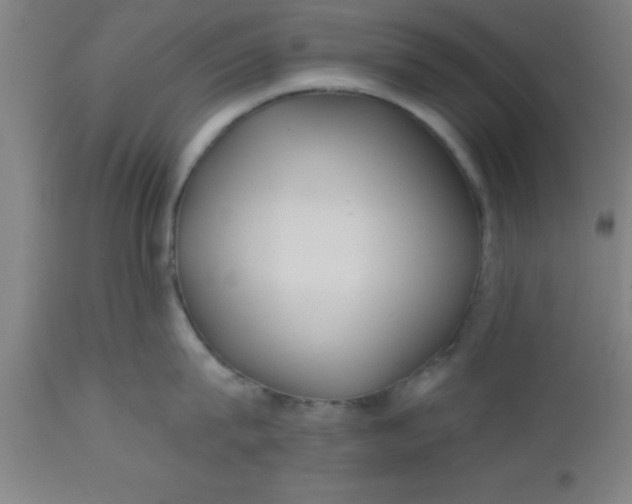 X0000112520815200909071332