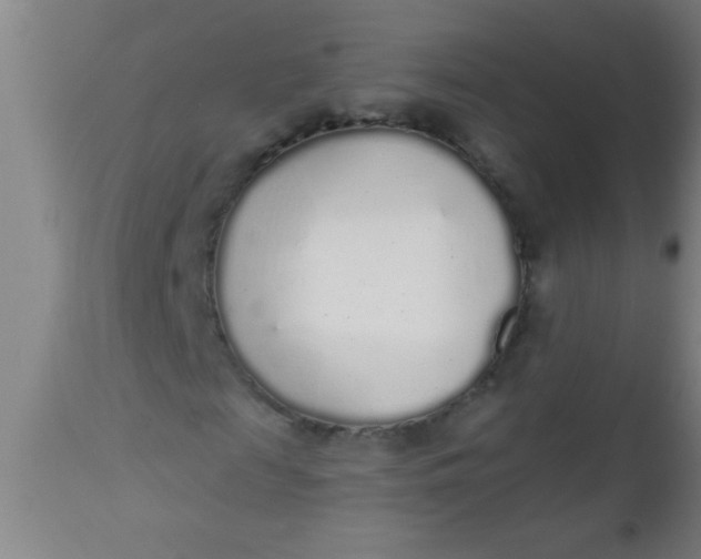 X0000112520817200909071331