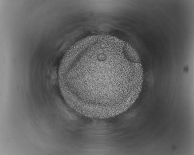 X0000112520818200909071331