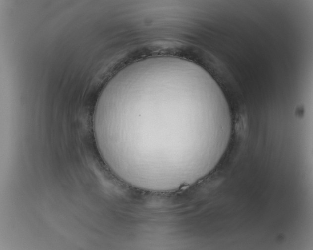 X0000112520819200909071331