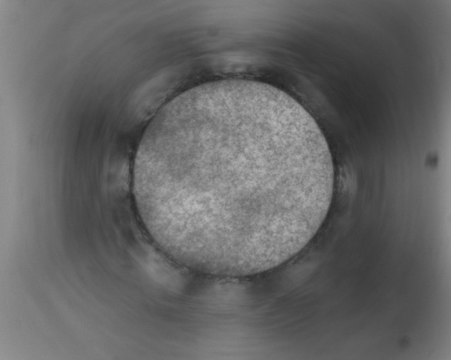 X0000112520820200909071331
