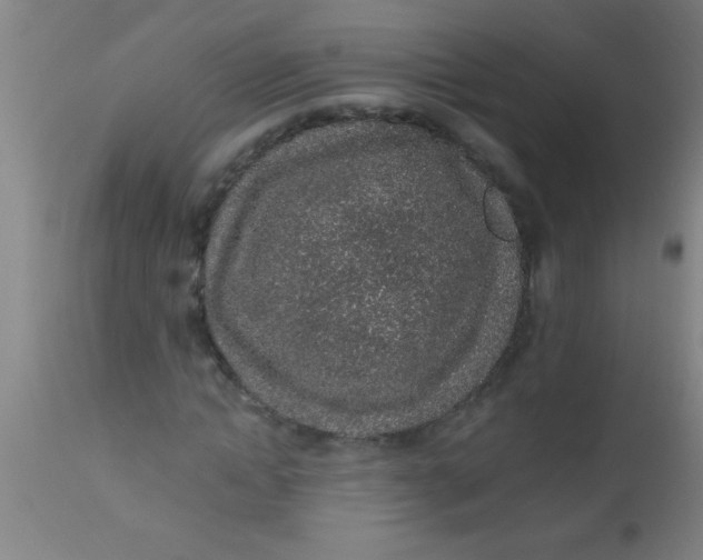 X0000112520822200909071331