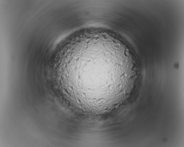 X0000112520823200909071331
