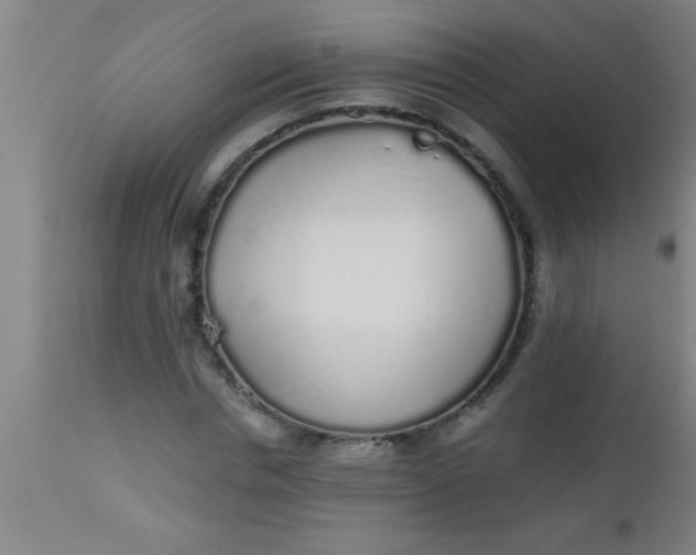 X0000112520826200909071331