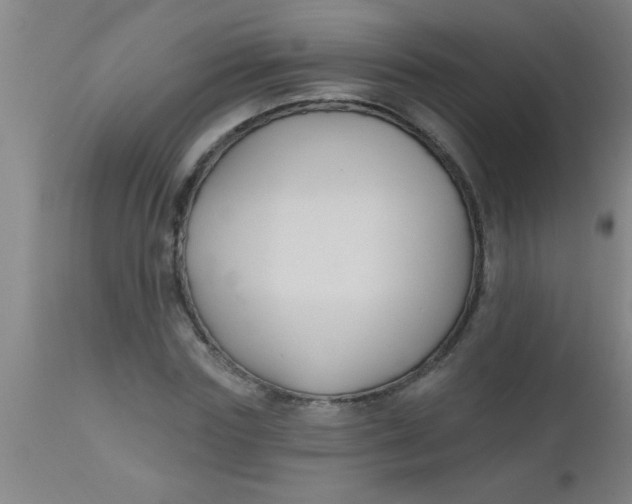 X0000112520827200909071331