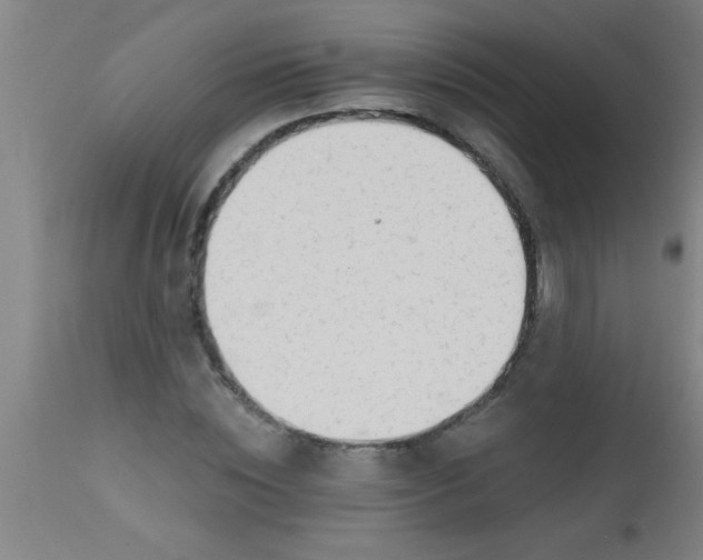 X0000112520828200909071331