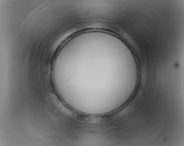X0000112520831200909071331