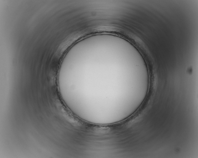 X0000112520833200909071331