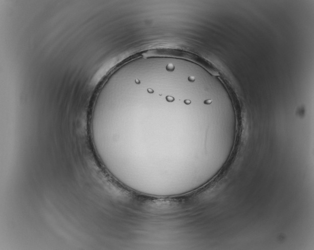 X0000112520834200909071331