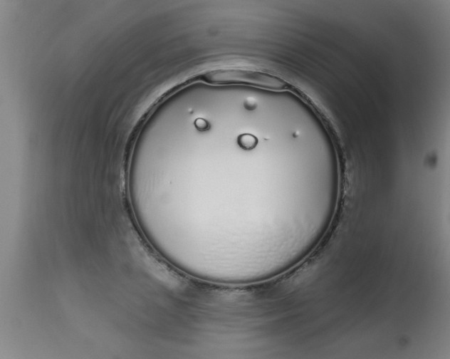 X0000112520837200909071331