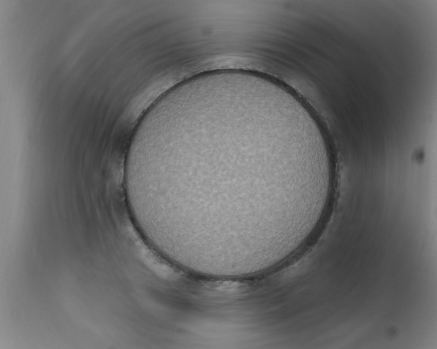 X0000112520841200909071331