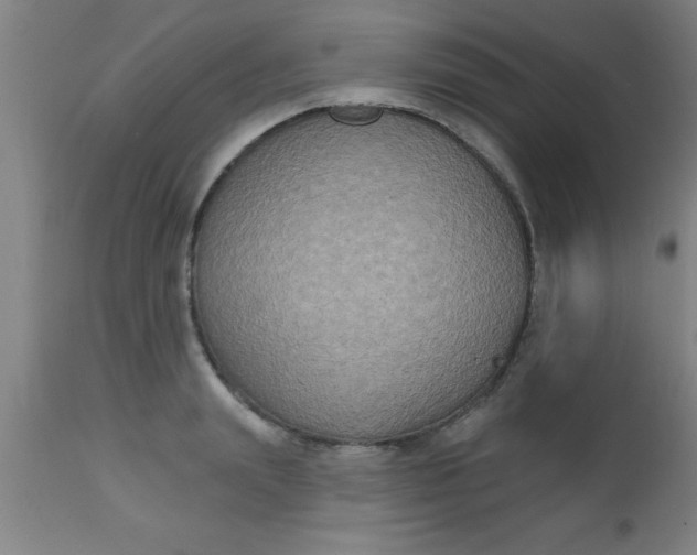 X0000112520847200909071331