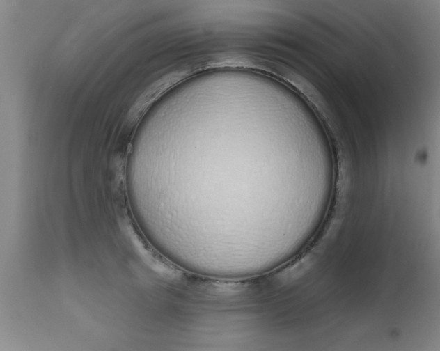 X0000112520849200909071331