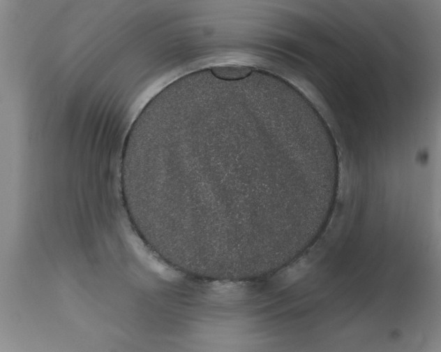 X0000112520850200909071331
