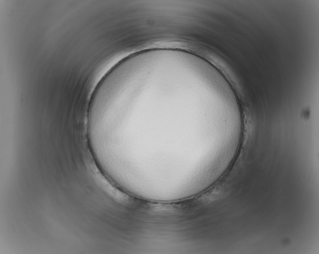 X0000112520852200909071331