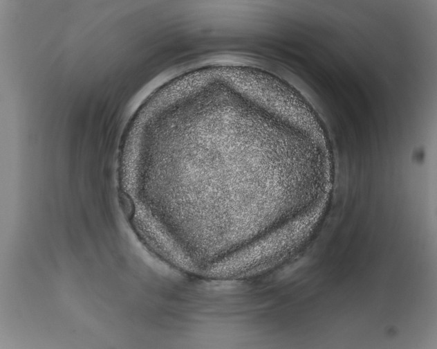 X0000112520853200909071331