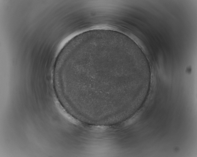 X0000112520854200909071331