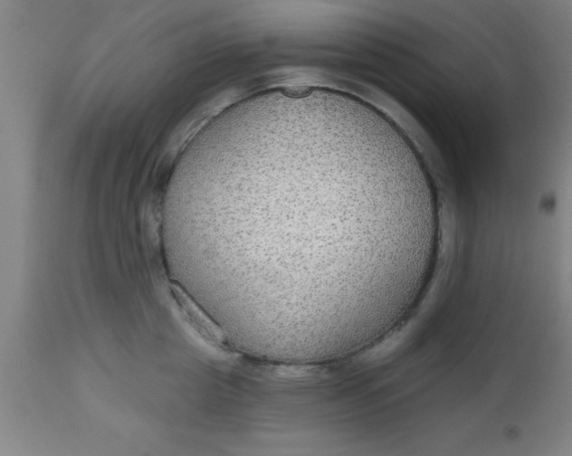 X0000112520857200909071331