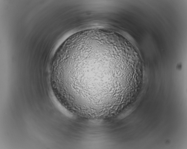 X0000112520859200909071332