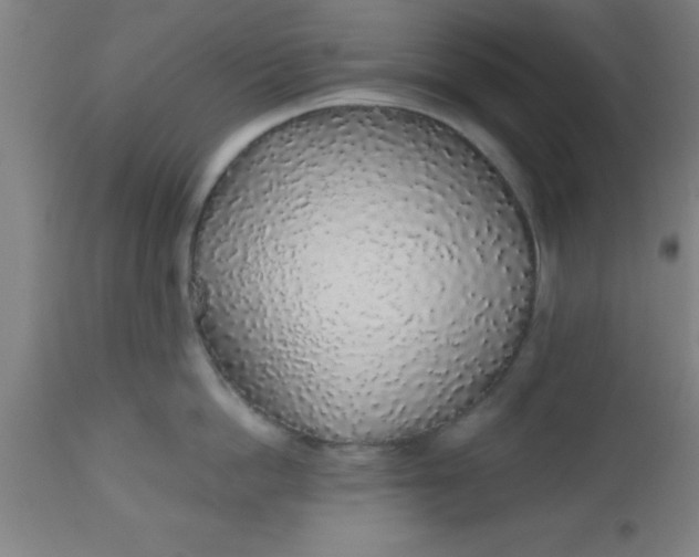 X0000112520862200909071332