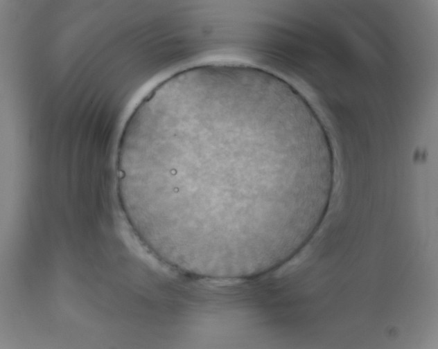 X0000112520864200909071332