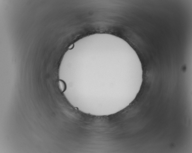 X0000112520865200909071331