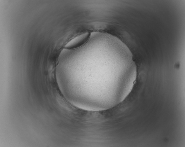X0000112520866200909071331