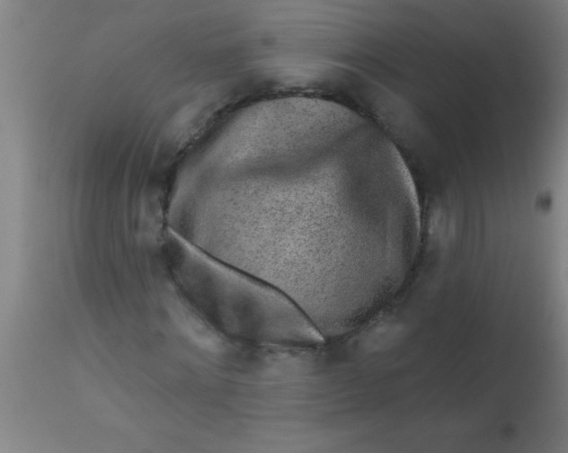 X0000112520868200909071331