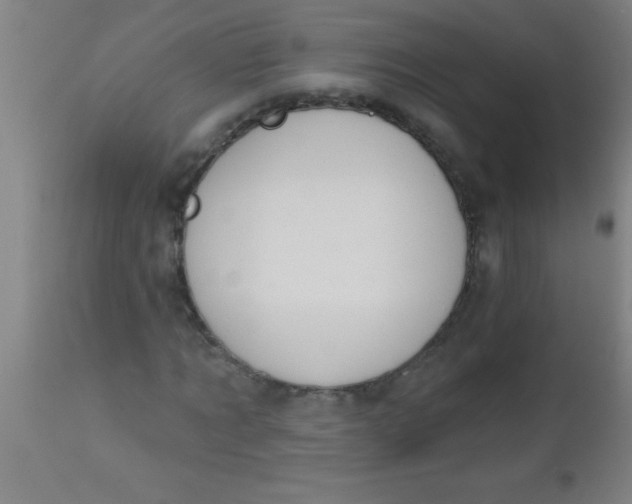 X0000112520869200909071331
