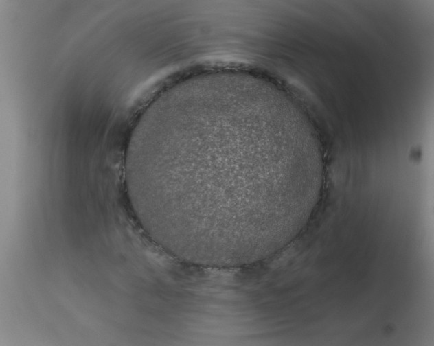 X0000112520870200909071331