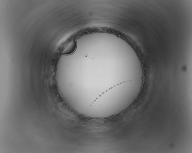 X0000112520871200909071331