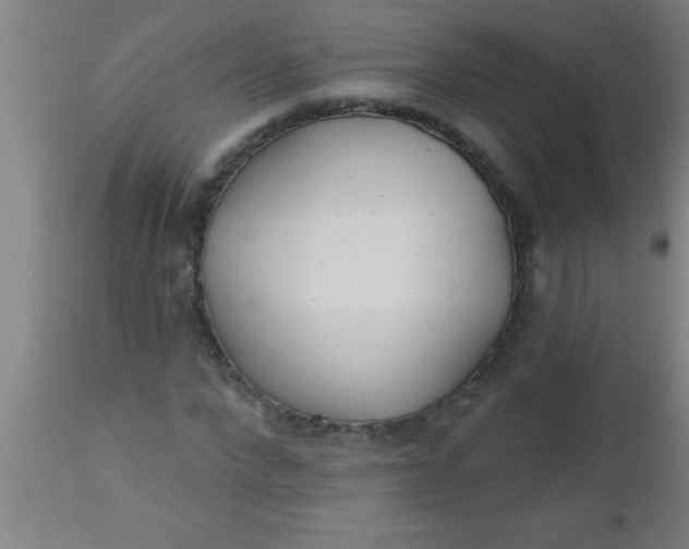 X0000112520872200909071331