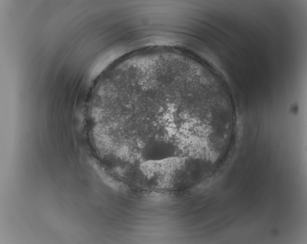 X0000112520874200909071331