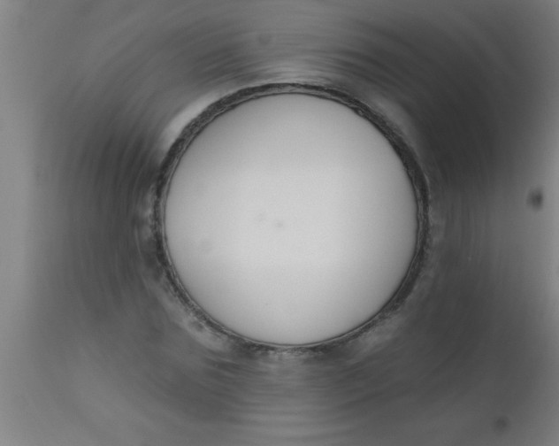 X0000112520875200909071331