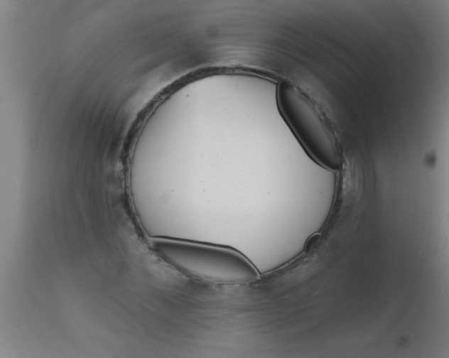 X0000112520876200909071331