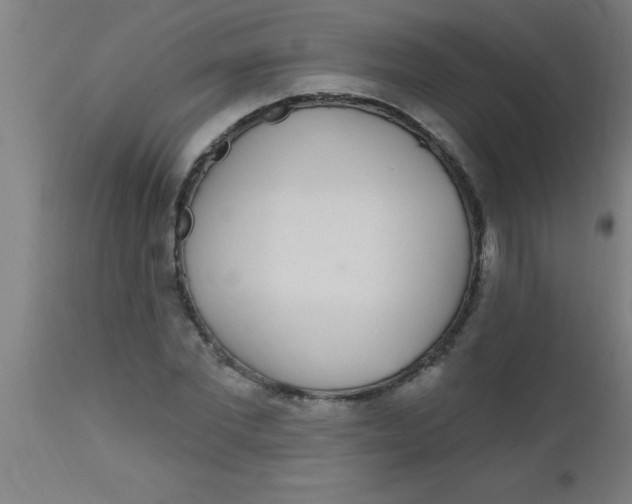 X0000112520877200909071331