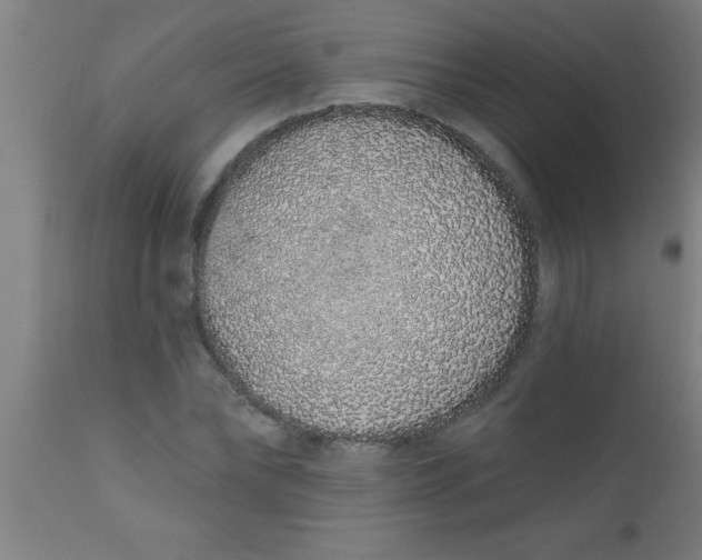 X0000112520878200909071331